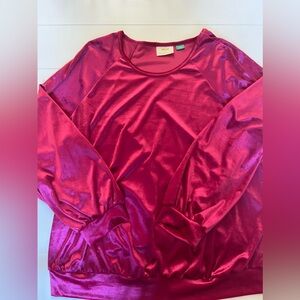 EUC Anthropologie velvet shirt
